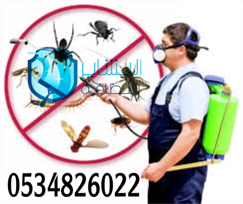 أفضل شركة مكافحة حشرات بمكة